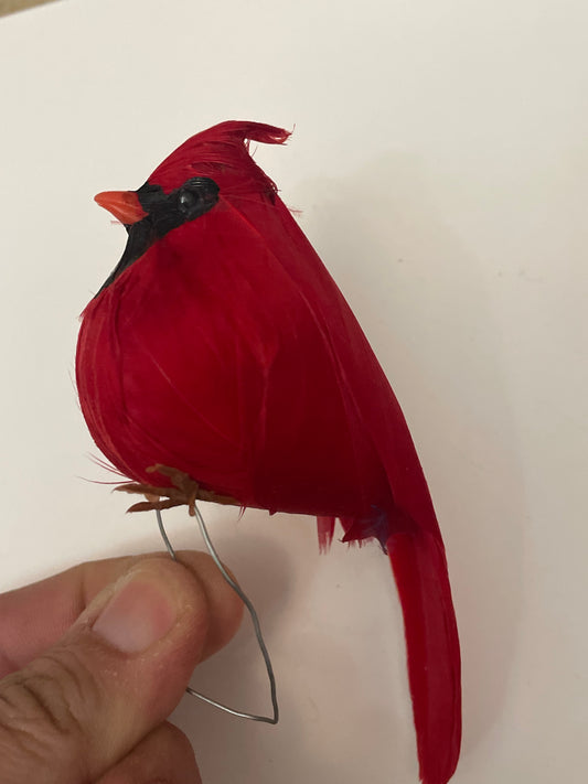 Feathered Long Tail Bird Ornament