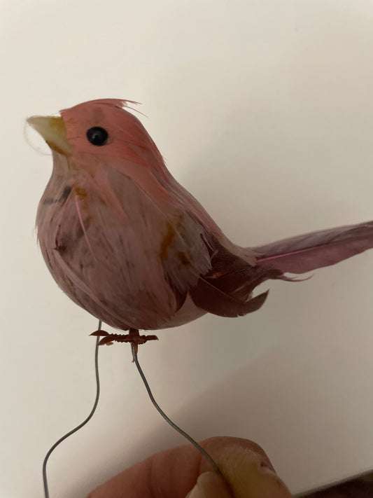 Feathered Long Tail Bird Ornament