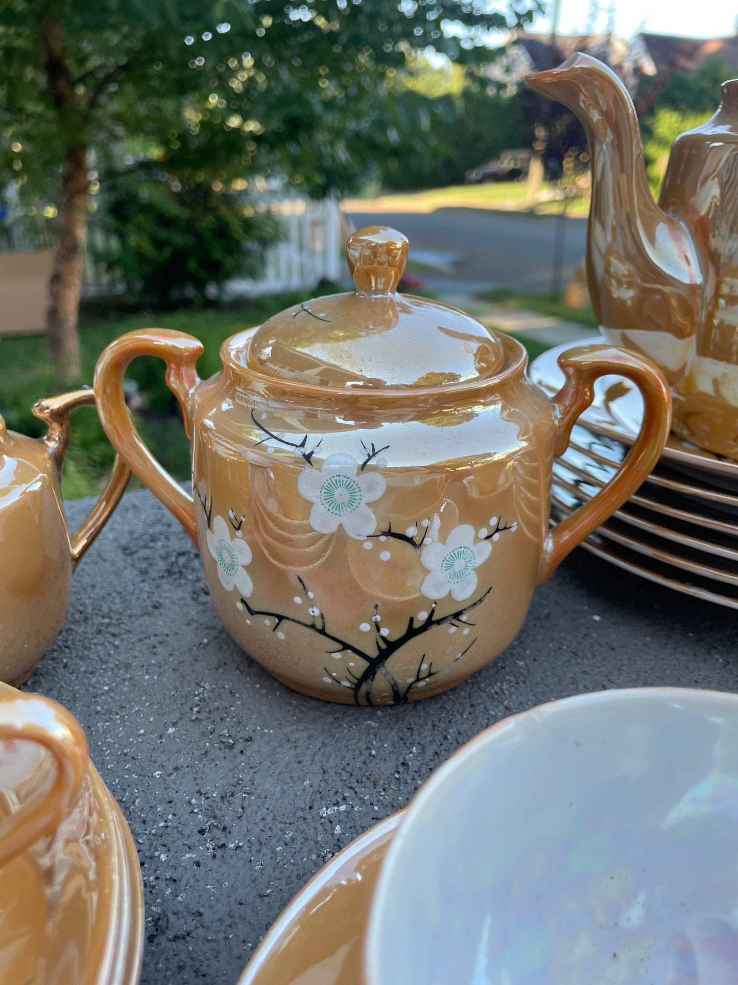 Lusterware Dogwood Tea Set