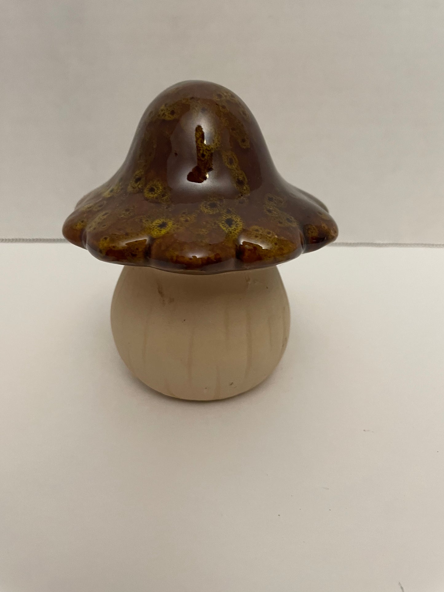 Ceramic Mushroom