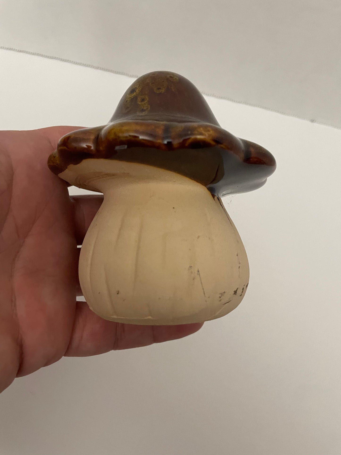 Ceramic Mushroom