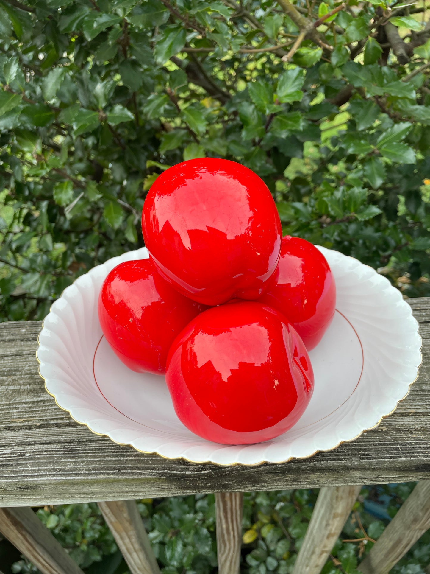 German Ceramic Bowl with Apples