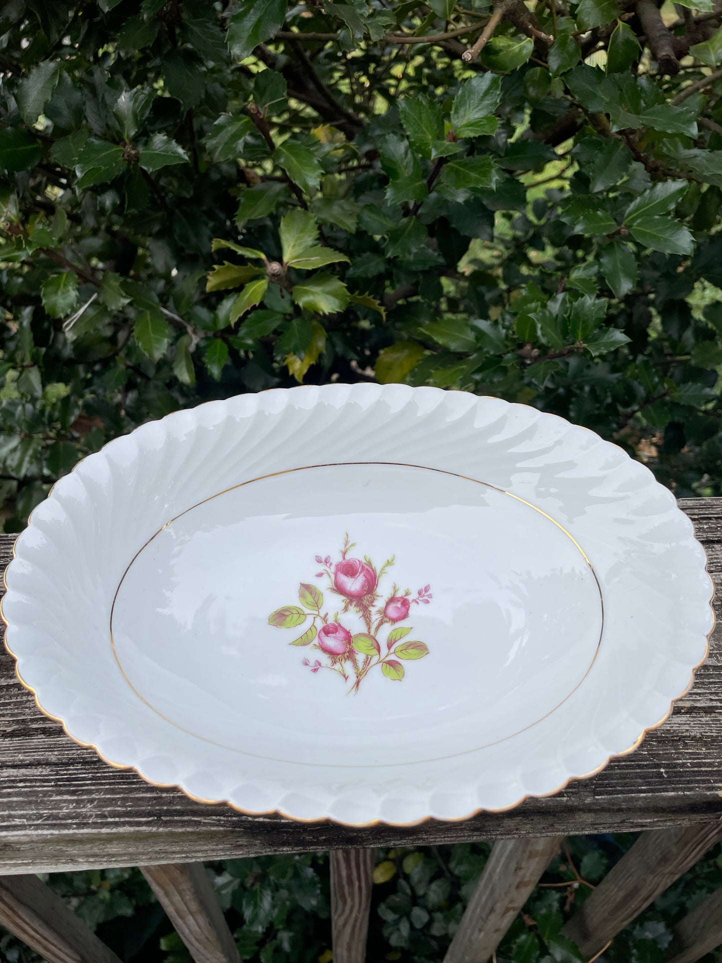 German Ceramic Bowl with Apples